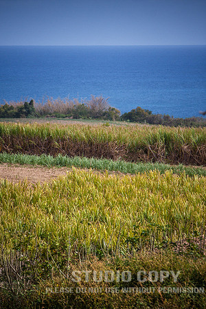CDR_09102013_0292