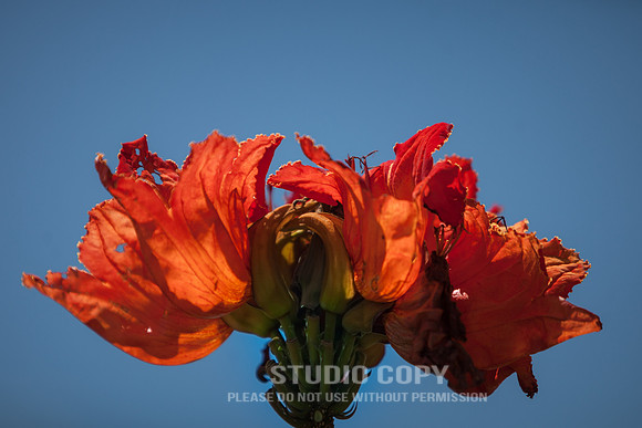 CDR_09162015_0502_guadape