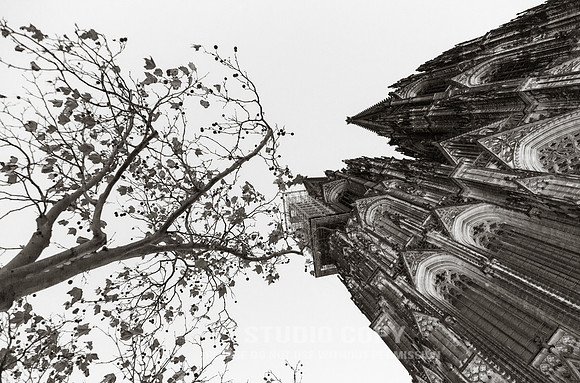 CDR_11132015_0277_cologne