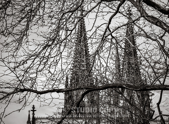 CDR_11172015_0044_cologne