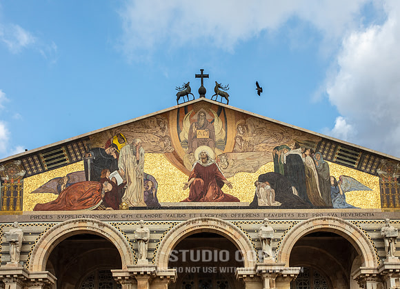 CDR_02112019_0180_Day6