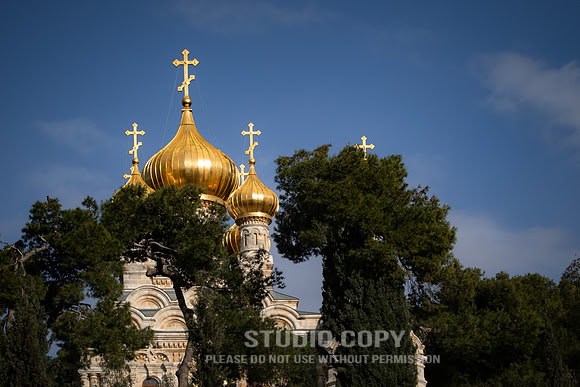 CDR_02112019_0713_Day6