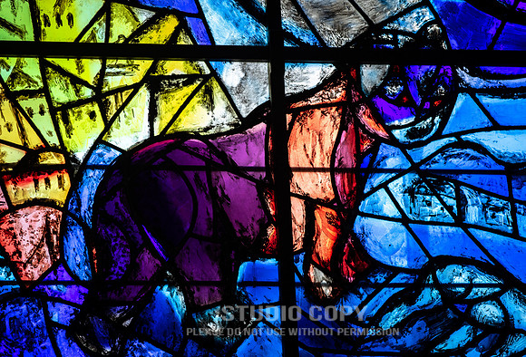 CDR_02122019_0019_Day7
