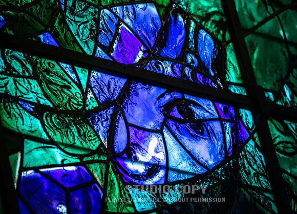 CDR_02122019_0033_Day7