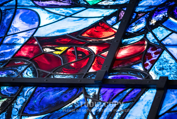 CDR_02122019_0034_Day7