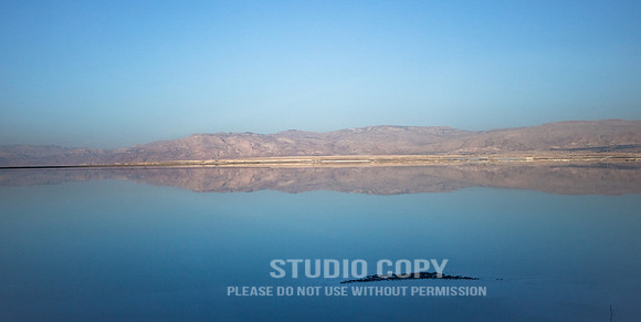 CDR_02132019_0486_Day8