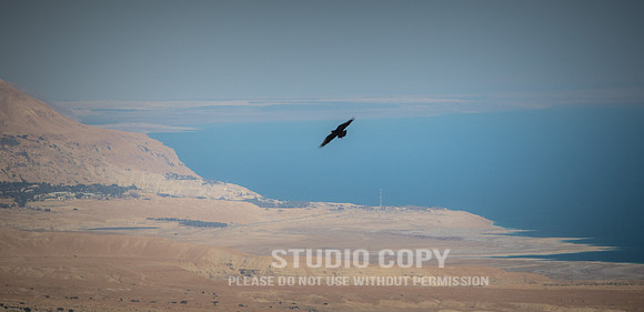 CDR_02132019_1247_Day8