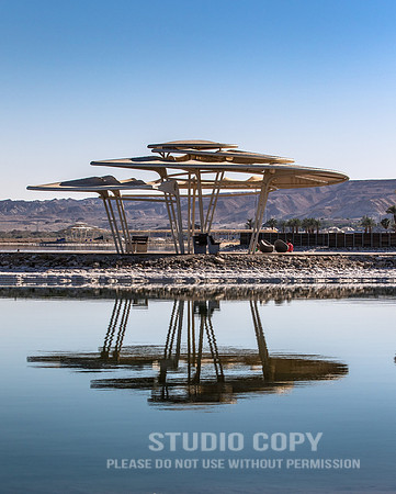 CDR_02132019_1570_Day8