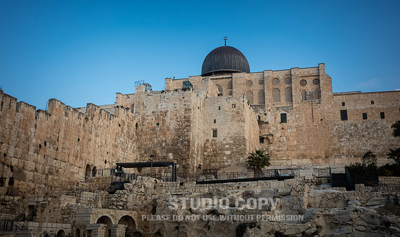CDR_02142019_0005_Day9