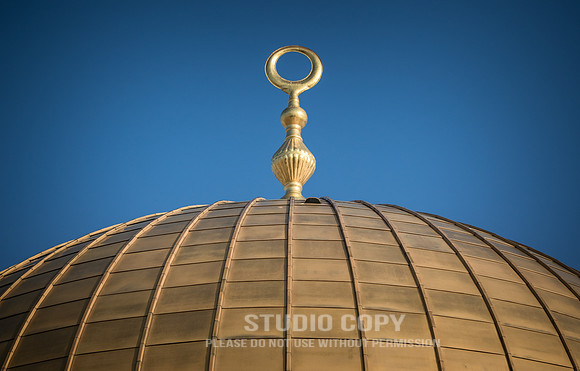 CDR_02142019_1070_Day9