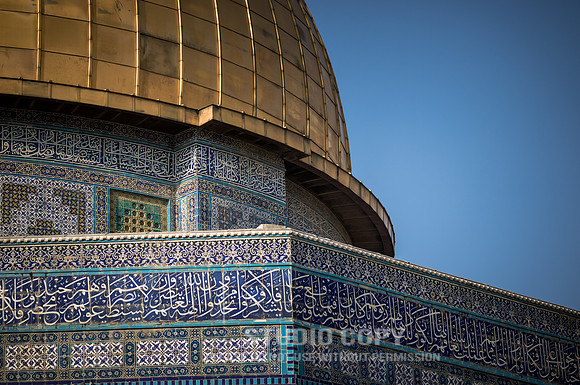 CDR_02142019_1089_Day9