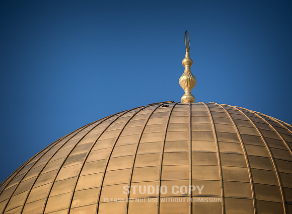 CDR_02142019_1091_Day9