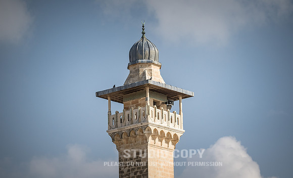 CDR_02142019_1306_Day9