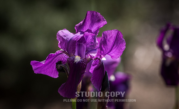 CDR_02142019_1310_Day9
