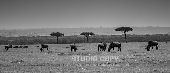 CDR_06242019_0158