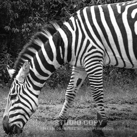 CDR_06242019_0192