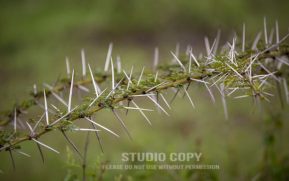 CDR_06272019_0024