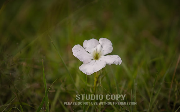 CDR_06272019_0512