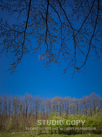 CDR_04202016_1190_hallerbos