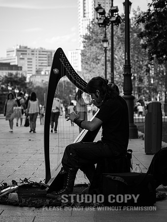 CDR_06122016_0492_madrid