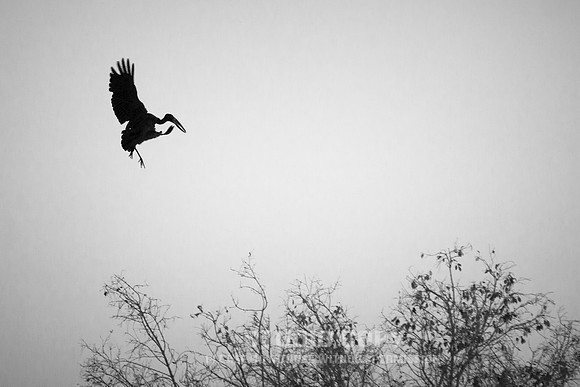 CDR_08302013_0916