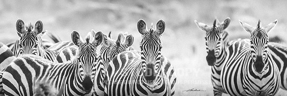 CDR_09282019_Tanzania_0615