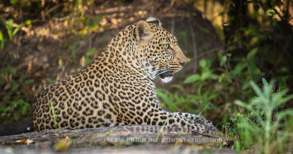 CDR_09292019_Tanzania_0643_tanzania_