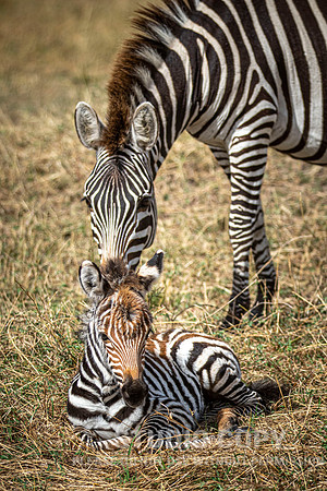 CDR_09272019_Tanzania_3030