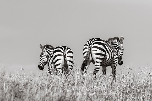CDR_09272019_Tanzania_0307_tanzania_