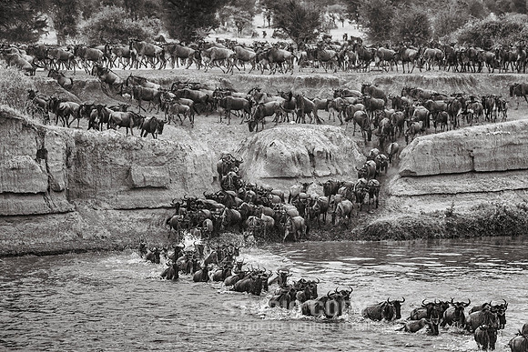 CDR_09272019_Tanzania_0557_tanzania_