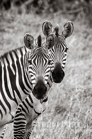 CDR_09272019_Tanzania_0486_tanzania_
