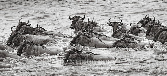 CDR_09272019_Tanzania_0693_tanzania_