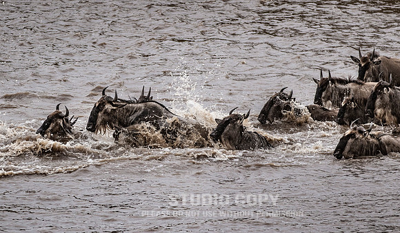 CDR_09272019_Tanzania_0834_tanzania_