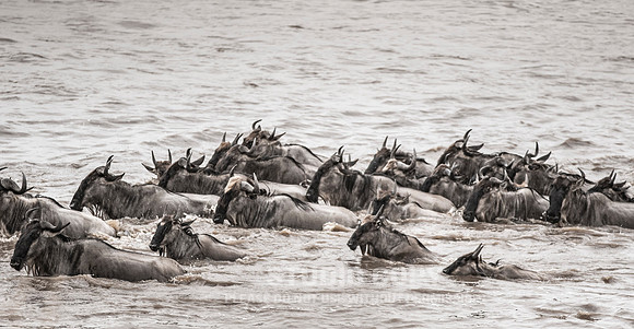 CDR_09272019_Tanzania_0860_tanzania_