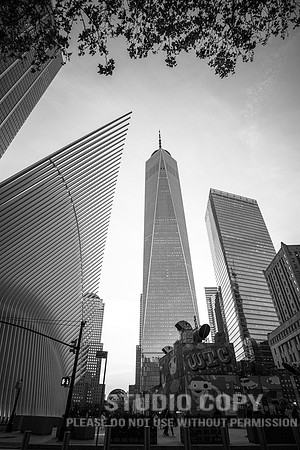 CDR_06042019_0073 (1)_NYC