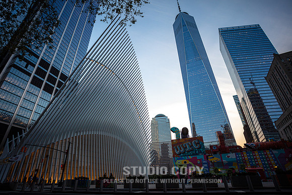 CDR_06042019_0095 (1)_NYC