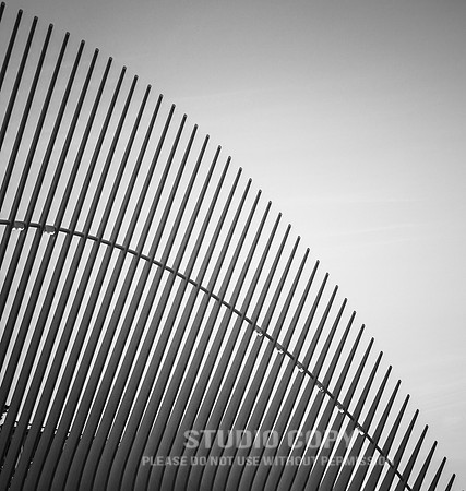 CDR_06042019_0104 (1)_NYC