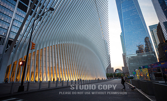 CDR_06042019_0116 (1)_NYC