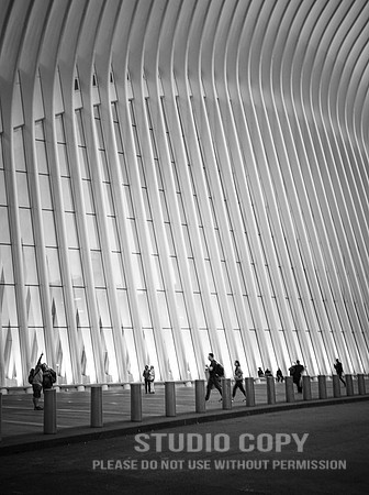 CDR_06042019_0124 (1)_NYC