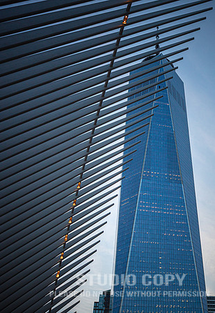 CDR_06042019_0132 (1)_NYC