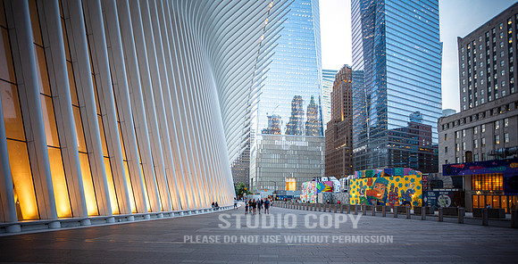 CDR_06042019_0133 (1)_NYC