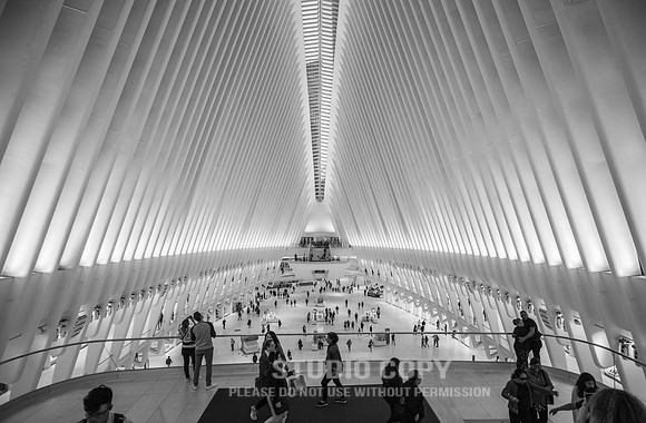 CDR_06042019_0141 (1)_NYC