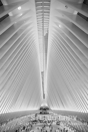 CDR_06042019_0151 (1)_NYC