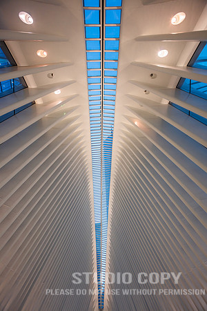 CDR_06042019_0153 (1)_NYC