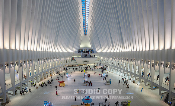 CDR_06042019_0163 (1)_NYC
