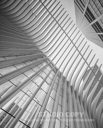 CDR_06042019_0191 (1)_NYC