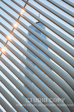 CDR_06042019_0193 (1)_NYC
