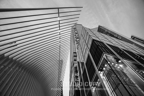 CDR_06042019_0201 (1)_NYC