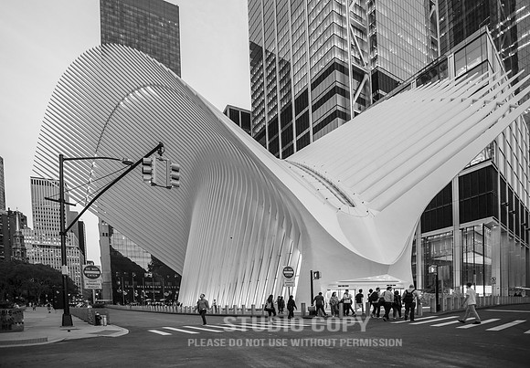 CDR_06042019_0222 (1)_NYC