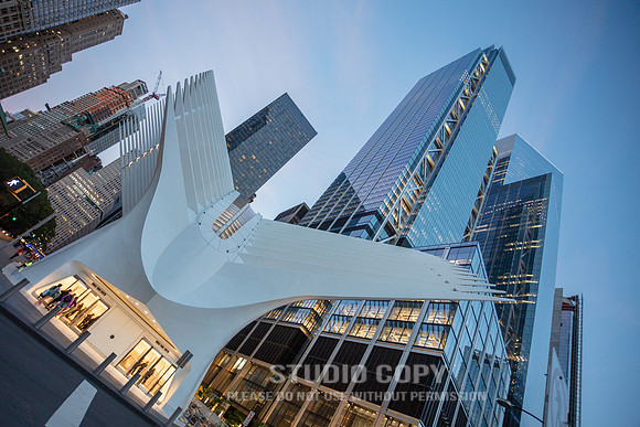 CDR_06042019_0229 (1)_NYC